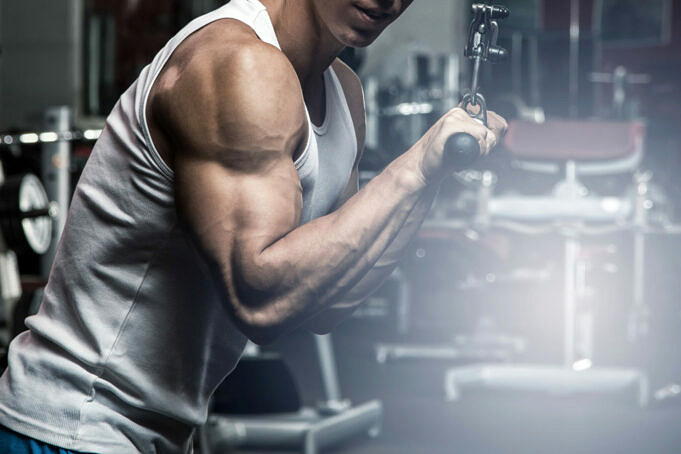 Quels Sont Les Gros Biceps ?